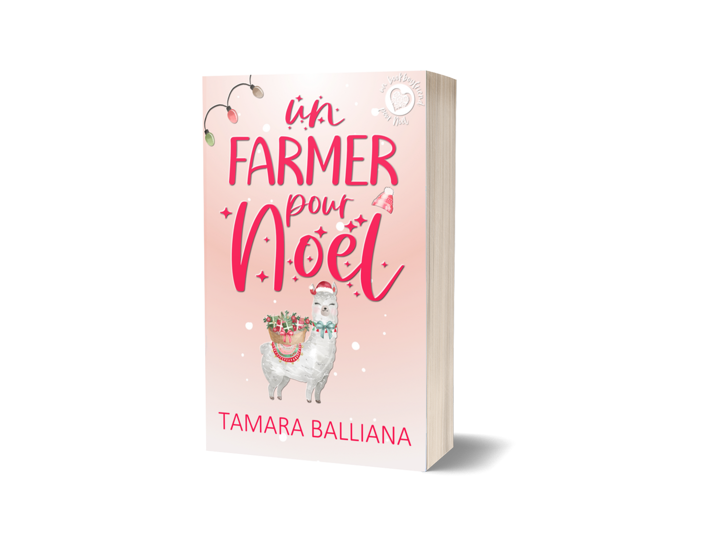 Un Farmer pour Noël