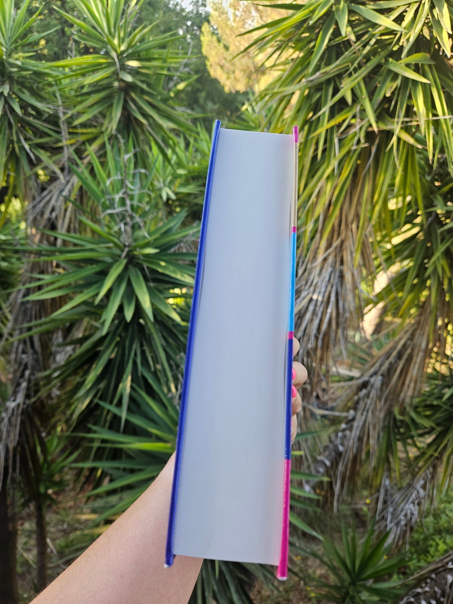 Domaine des Manons - Intégrale tomes 1 à 3 - Format relié